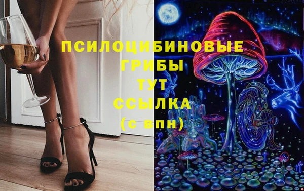 PSILOCYBIN Верхнеуральск